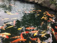 -湖鲜楼