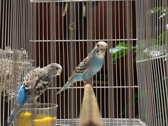 -保纳大酒店(大圩村店)