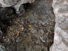 -青枫公园