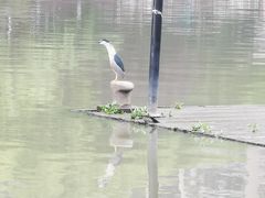 -苏州河梦清园环保主题公园