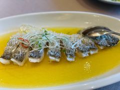 鸡汁蒸白鱼-名豪品鲜荟(云亭店)