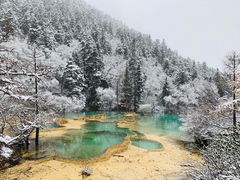 -黄龙山原始森林景区