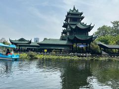 -桂湖森林公园