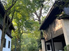 -法云安缦酒店