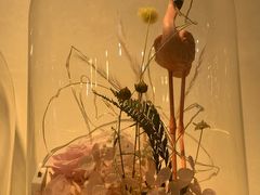 -花未央花店·WEYOUNG