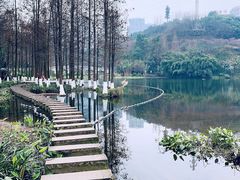 -重庆彩云湖湿地公园