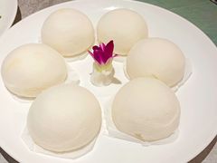 -老绍兴养和饭店(向阳不夜城店)