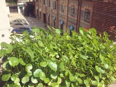 iphone_upload_pic-湖丝栈