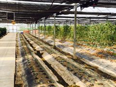 -上海多利农业发展有限公司