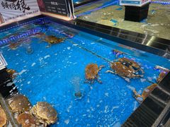 -盒马鲜生(观音桥店)