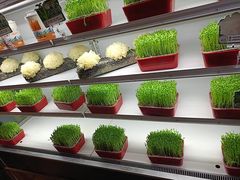 -番食园鲜食火锅(高新店)