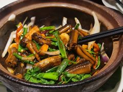 啫啫黄鳝-广东道至正餐厅(区庄店)