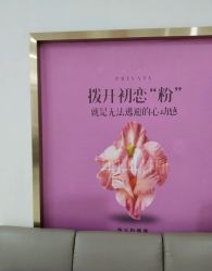 -重庆五洲妇儿医院·妇幼保健