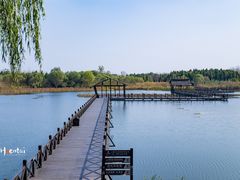 -溱湖国家湿地公园