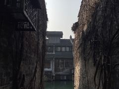-乌镇西栅景区