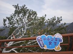 -少华山国家森林公园