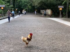 -热田神宫