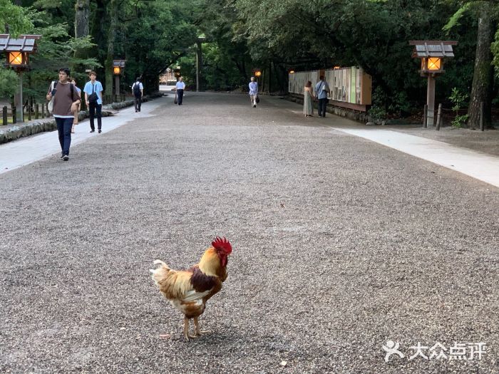 热田神宫图片