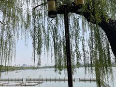 -济南大明湖景区