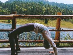-武陵山森林公园