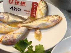 -双生不夜粥