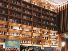 -深影国际影城(学院南路店CGS中国巨幕店)