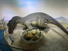 -国家自然博物馆