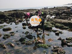 -青岛第三海水浴场