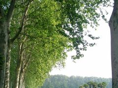 外景-河南省黄河迎宾馆