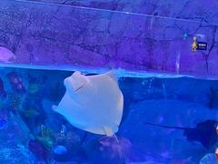 -沈阳海洋探索中心