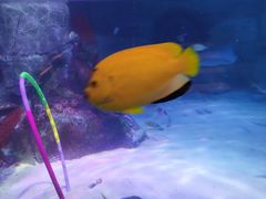 -沈阳海洋探索中心