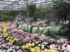 -南宫五洲植物乐园