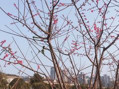 -沐仙湖湿地公园