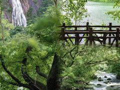 -广州市石门国家森林公园