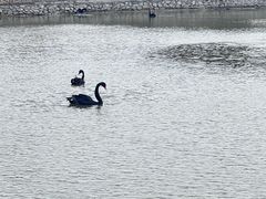 -哈尔滨北方森林动物园