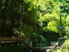 -凤栖山