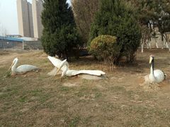 -前关湿地公园