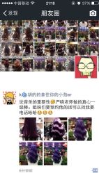 iphone_upload_pic-木北护肤造型