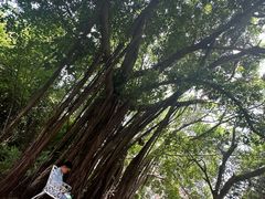 -厦门悦华酒店