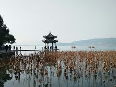 -西湖外事游船(湖滨二公园外事游船码头)