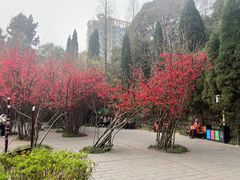 -房湖公园
