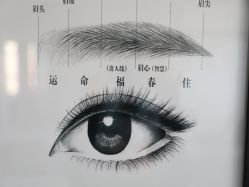 点击看大图 -臣丽纹眉品牌连锁