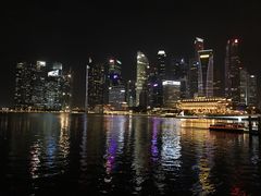 -新加坡文华东方酒店