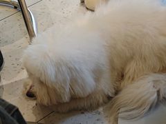 -龙湖重庆时代天街