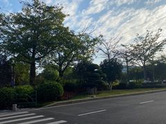 -厦门明发国际大酒店(会展中心环岛路店)