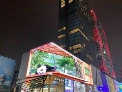 -春熙路步行街