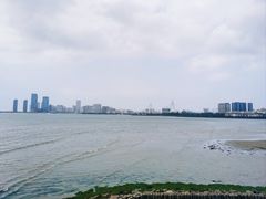 -万绿园