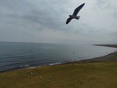 -青海湖二郎剑景区