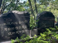 -上海佘山国家森林公园天马山园