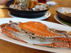 -高佳庄·舟山海鲜(海景旗舰店)